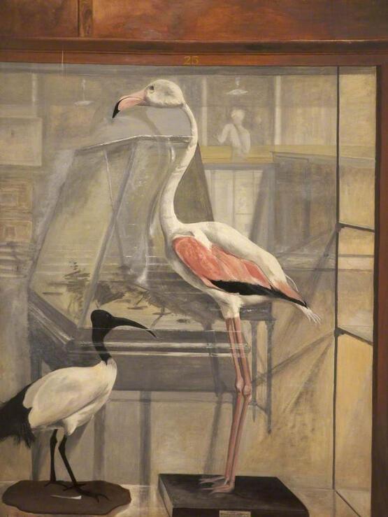 The Dead Flamingo, Interior of Bethnal Green Museum (1928)