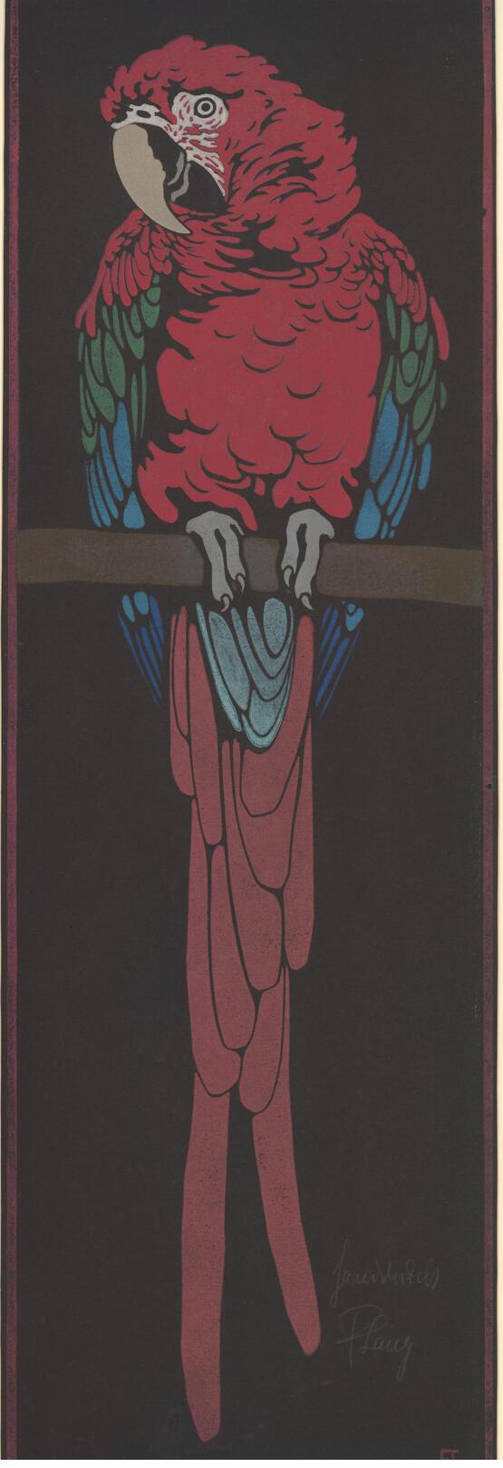 Roter Ara (karmin), auf Stange (Red (carmine) macaw on a perch) (circa 1922)