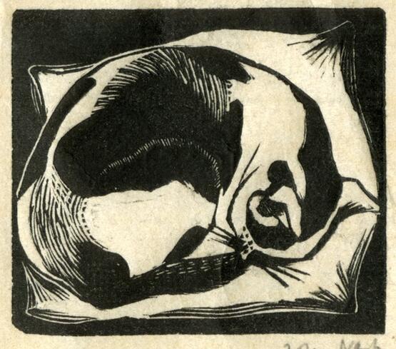 Cat asleep (1920)