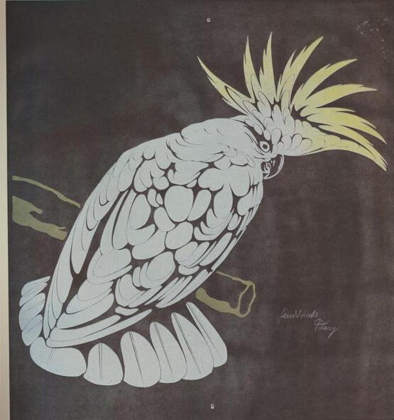 Gelber Kakadu, auf Ast (Sulphur-crested cockatoo on a branch) (circa 1925)