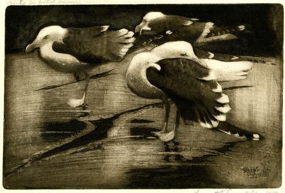 Gulls (1919)