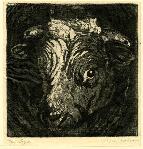 Head of a bull with horns (circa 1925)