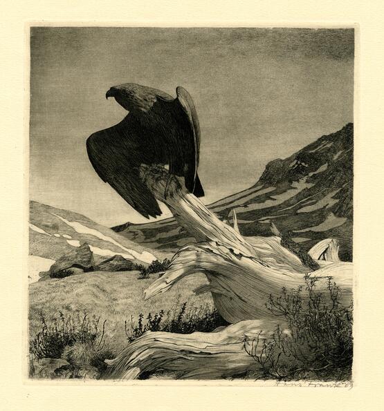 Eagle (1909)