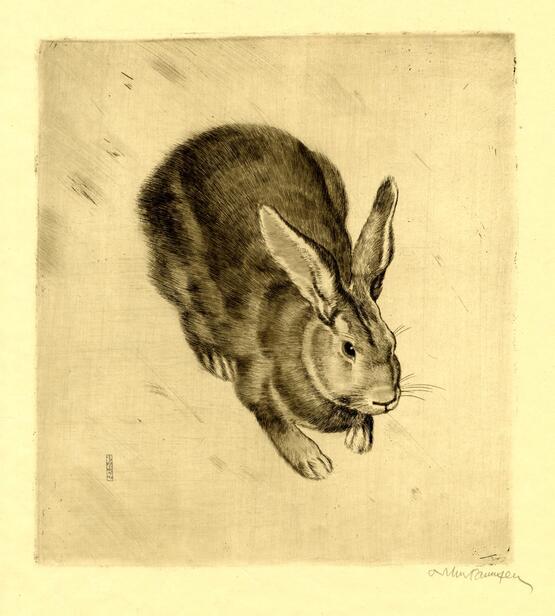 Rabbit (1921)