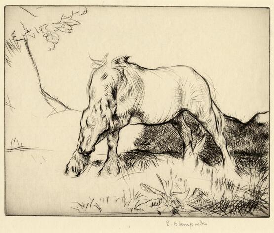 The White Horse (1921)