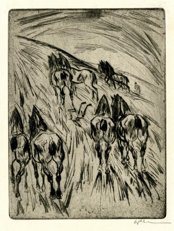 Horses (circa 1927)