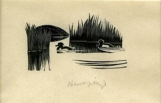 Vignette of two ducks on water (Illustration to Grey's 'Fallodon Papers', London: 1926) (1926)