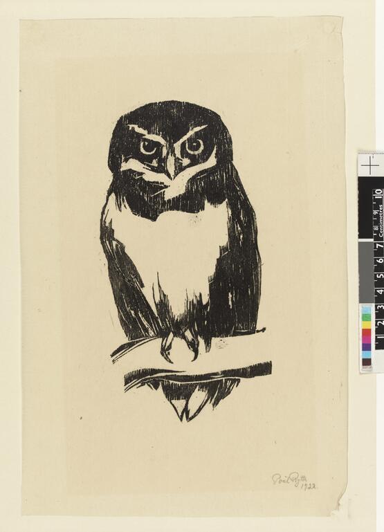 Owl (1922)