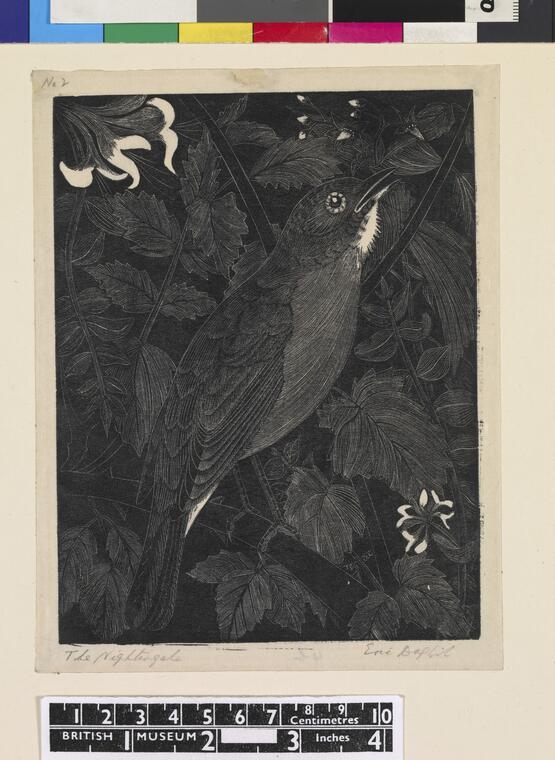 The nightingale (circa 1930)