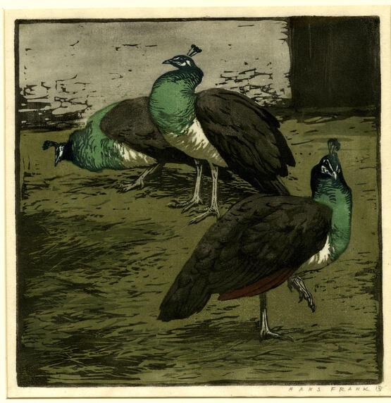 Three peahens in a yard (1913)