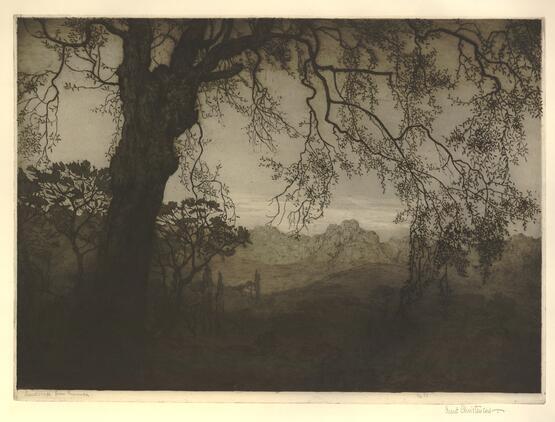 Landscape from Provence (circa 1930)