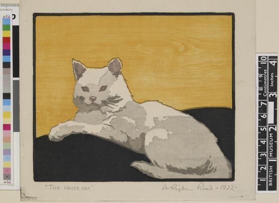 The white cat (1922)