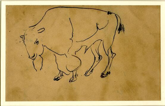 Bison (1930-31)