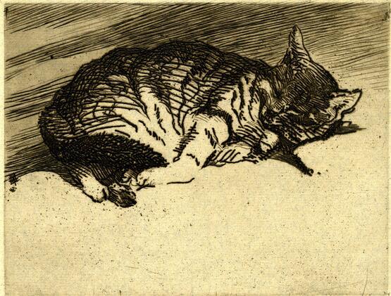 Sleeping Cat (1897-1931)