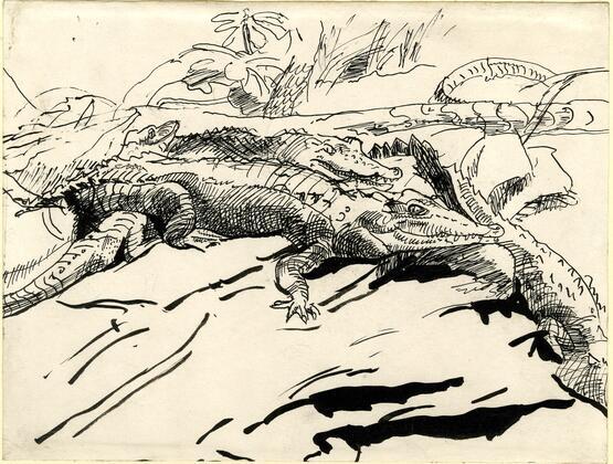 Crocodiles (1905-1930)