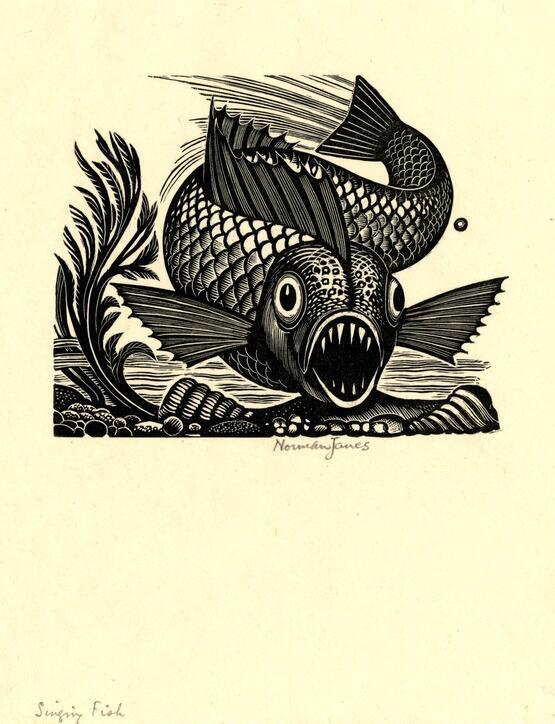 1928 Deep-sea Fish Antique Print
