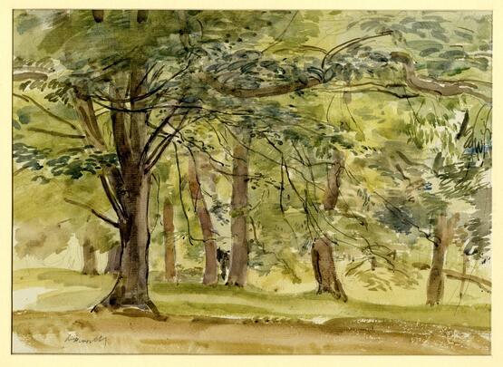 Study of trees (1887-1936)