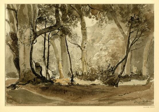 Study in Ebernoe Forest (circa 1942)