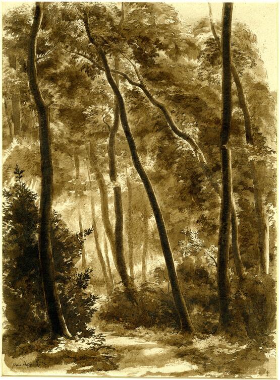 Cutler's Wood (1926-1945)