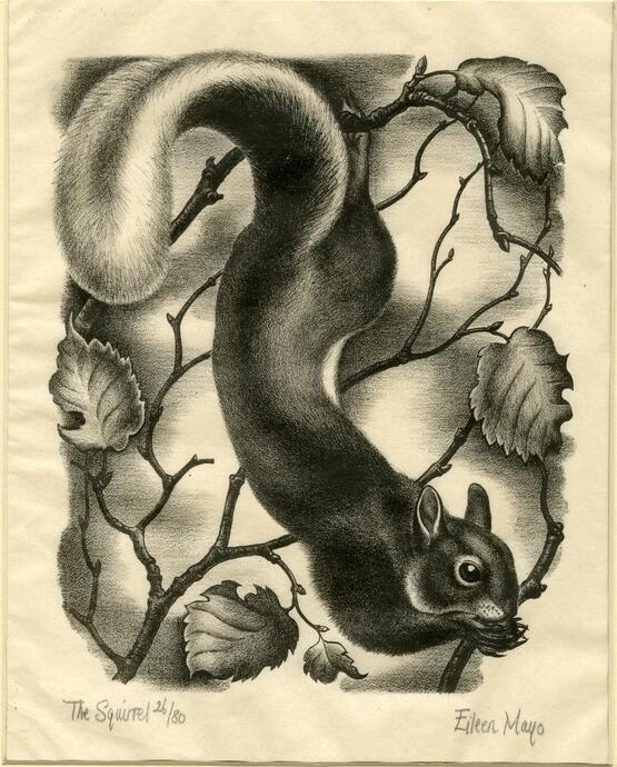 The squirrel (1945)