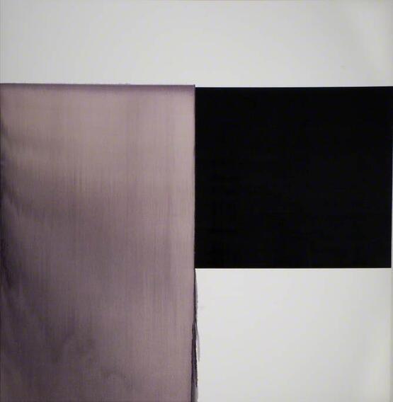 Exposed Painting, Paynes Grey/Red Violet on White (1998)
