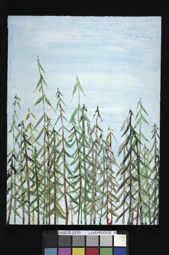 Forest at Dawn (2003)