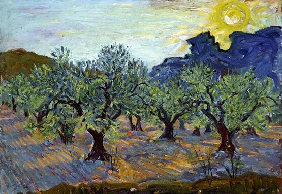 Olive Trees, Evening, Les Baux, France (before 1962)