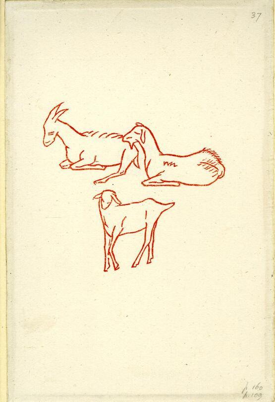 Illustration to ‘Daphnis and Chloë' by Longus (A. Zwemmer, London, 1937), pp 109 and 160 (1937)