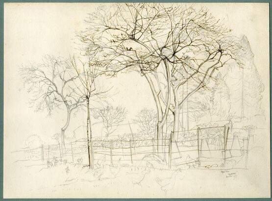 Apple trees, Bathford (1925)