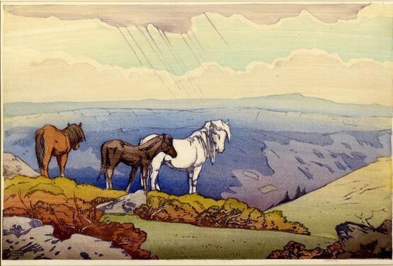 Dartmoor ponies (1915-1937)