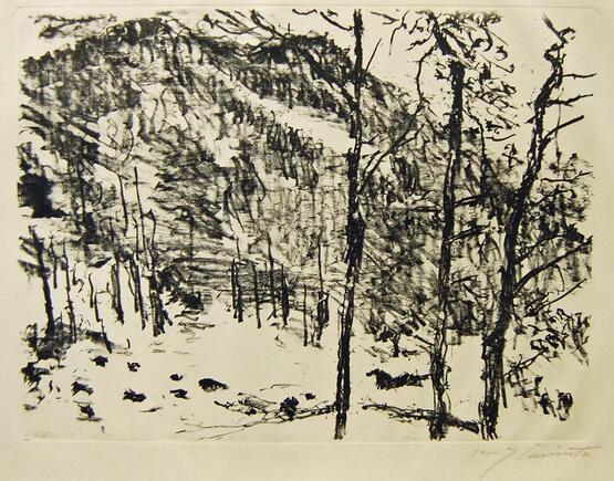 Tal-Grund (Valley) (Vorfrühling im Gebirge - Early Spring in the Mountains Portfolio) 4. (1922)