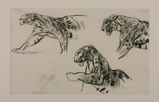 Three Studies of Leopards (1916)