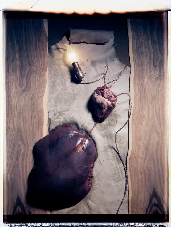 Meat Abstract #5 Heart and Liver (1989)
