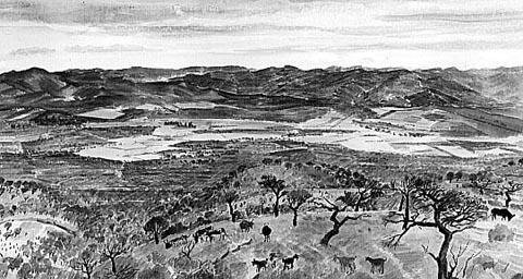 Valley, Zululand (1946)