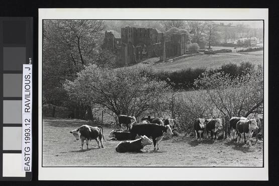 Llanthony Priory, Monmouthshire, Wales (Twelve photographs from the Beaford Photographic Archive, Image 12) (1977)