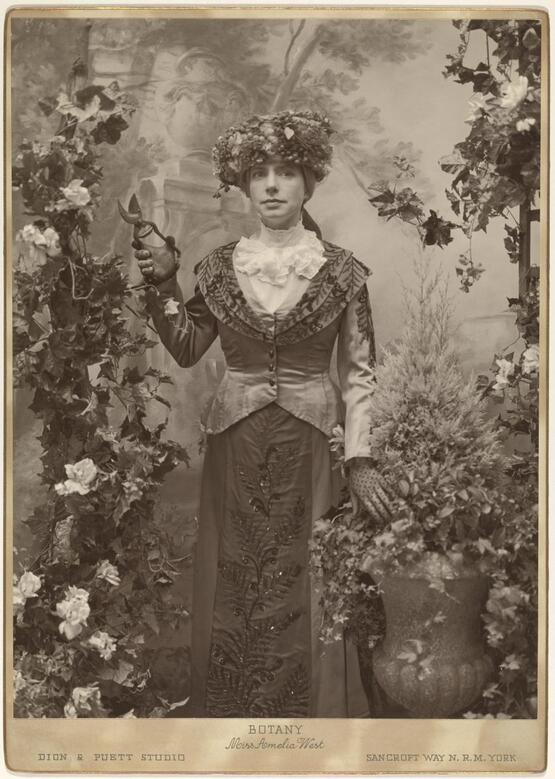 The Ladies' Field Club of York (suite of eight sepia photographs) : Miss Amelia West, Botany (1999)