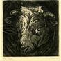 Head of a bull with horns (circa 1925)