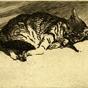 Sleeping Cat (1897-1931)