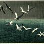 Seagulls (1924)