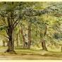 Study of trees (1887-1936)