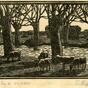 Sheep by a River (1919)