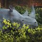 Rhinoceros (2000)