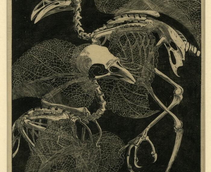 Danse Macabre (1932)